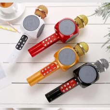 Караоке мікрофон Wster 1816 з підсвічуванням у чохлі, 4 кольори