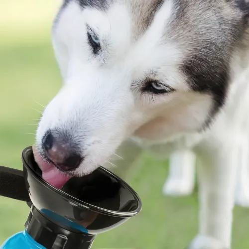 Бутылка поилка для животных PET BOTTLE с тарелкой, 500 мл, разные цвета - фото 5