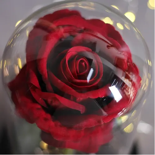 Троянда в скляній колбі з підсвічуванням Love Stories Roses, 21 см, червона - фото 5