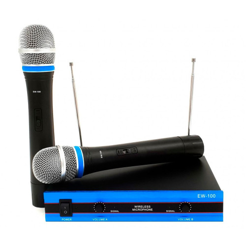 Бездротовий комплект з 2 мікрофонів Wireless DM EW-100 радіосистема - фото 2