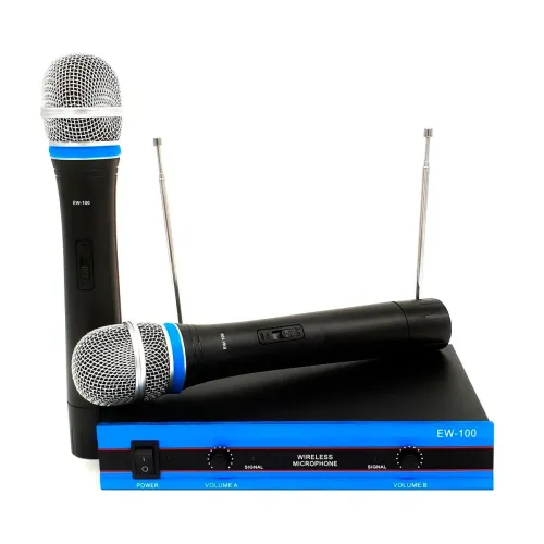 Беспроводной комплект из 2-х микрофонов Wireless DM EW-100 радиосистема