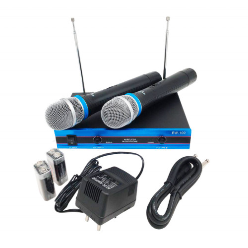 Бездротовий комплект з 2 мікрофонів Wireless DM EW-100 радіосистема - фото 3