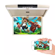 Стельовий монітор 17” JL1703FD
