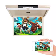 Потолочный монитор 17” JL1703FD