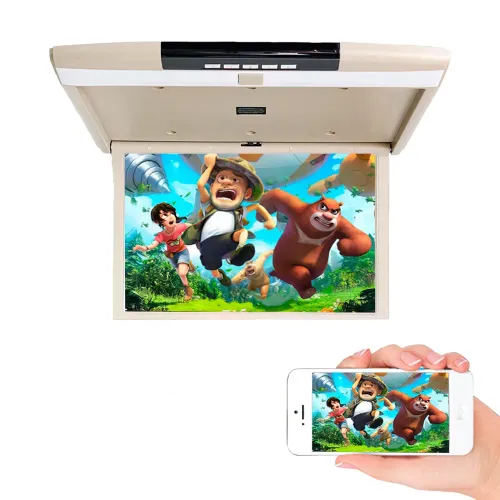 Стельовий монітор 17” JL1703FD