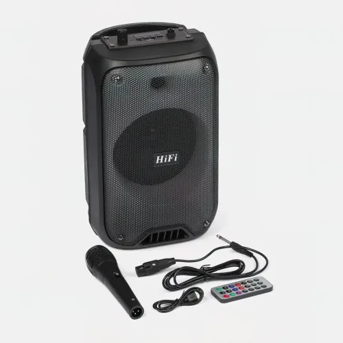 Автономна акустична система TMG ORIGINAL RX-6168 (1MIC+MP3+USB+FM+BT) - фото 2