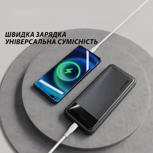 Повербанк Power Bank LENYES 133-10000 mAh (Реальна ємність) 2хUSB, MicroUSB, Type-C, Чорний - фото 3