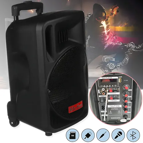 Портативная Bluetooth акустика Su-Kam BT100D аккумуляторная 500Вт с микрофоном, пультом, 12v\220v