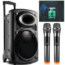 Портативна колонка Su-Kam BT 150D + 2 мікрофони, велика колонка 12v/220v з Bluetooth на акумуляторі