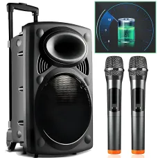 Портативна колонка Su-Kam BT 150D + 2 мікрофони, велика колонка 12v/220v з Bluetooth на акумуляторі