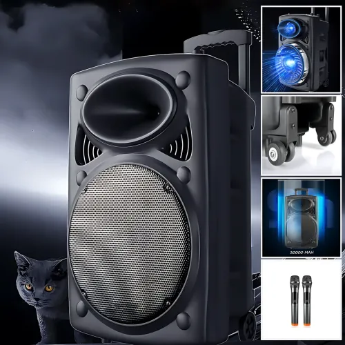 Портативная колонка Su-Kam BT 150D + 2 микрофона, большая колонка 12v\220v с Bluetooth на аккумуляторе - фото 2