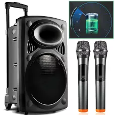 Портативна колонка Su-Kam BT 150D + 2 мікрофони, велика колонка 12v/220v з Bluetooth на акумуляторі
