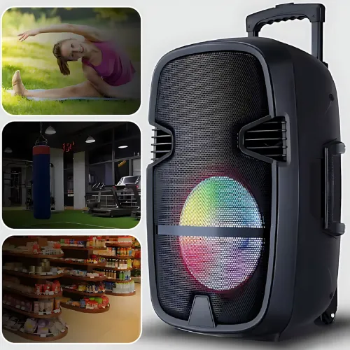 Портативна колонка Tekno altavoces 6.5 з мікрофоном і RGB-світиною, акумуляторний Bluetooth динамік