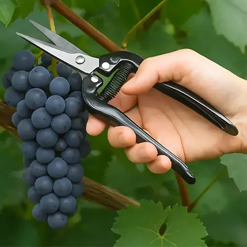 Набір садових інструментів 5 в 1 Garden Set SK-5, сікатор великий і малий, ножиці для квітів, садова пилка, ножівка - фото 9