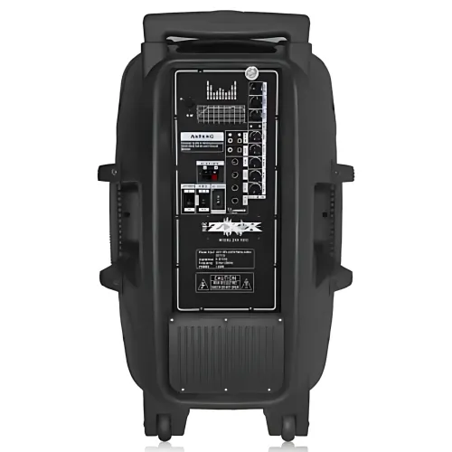 Акустическая колонка ZXX-1503 60Вт (15), автономная переносная система с 2 радиомикрофонами, Bluetooth, TWS, караоке, LED - фото 3