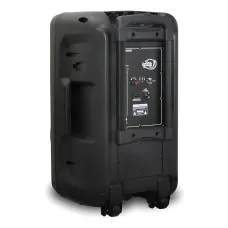 Акустическая колонка ZXX-1011 800Вт (15), портативная караоке-система с 2 радиомикрофонами, Bluetooth, TWS, эквалайзером и LED