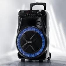 Акустическая колонка ZXX-7171 600 Вт, портативная караоке система 12, Bluetooth, TWS, FM, LED, микрофон, эквалайзер, на колесиках