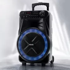 Акустична колонка ZXX-7171 600 Вт, портативна караоке система 12, Bluetooth, TWS, FM, LED, мікрофон, еквалайзер, на коліщатках