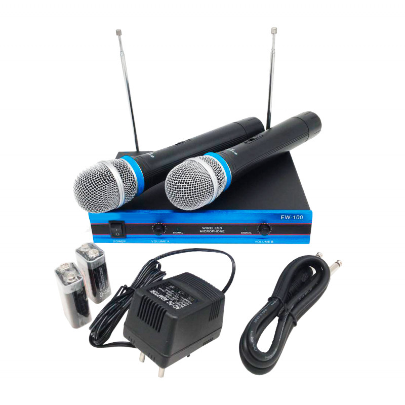 Бездротовий комплект з 2 мікрофонів Wireless DM EW-100 радіосистема фото - 2