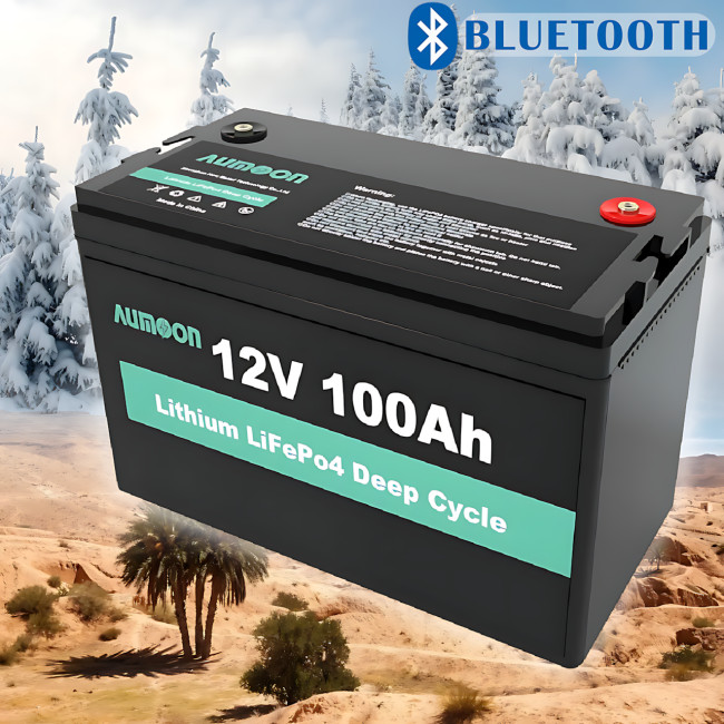 Литий-железо-фосфатный аккумулятор ENERSUN LiFePO4 12.8В 100Ач с BMS и Bluetooth, 1.28 кВт, для ИБП AUMOON