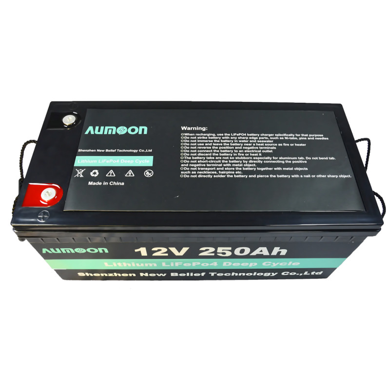 Акумуляторна батарея AUMOON LiFePO4 12.8 В 250 А·год 3.20 кВт з Bluetooth і BMS для ДБЖ і сонячних систем фото - 3