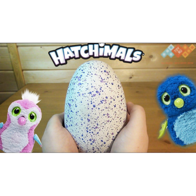 Интерактивная игрушка тамагочи HATCHIMALS  Хетчималс пингвин