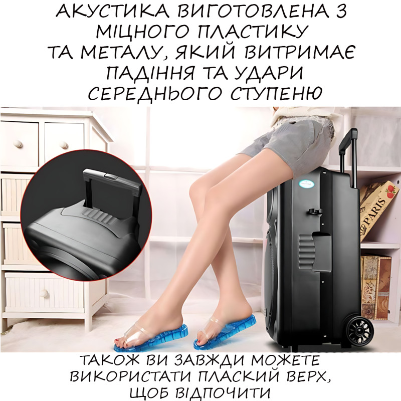 Портативна колонка Su-Kam BT 120D/212D+, 300 Вт, 7500 mAh, Bluetooth, 2 мікрофони, 12v/220v фото - 6