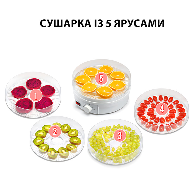 Електрична сушарка Zepline ZP-029, 500 Вт, 5 ярусів, таймер, захист від перегрівання, прозора кришка Сірий фото - 6