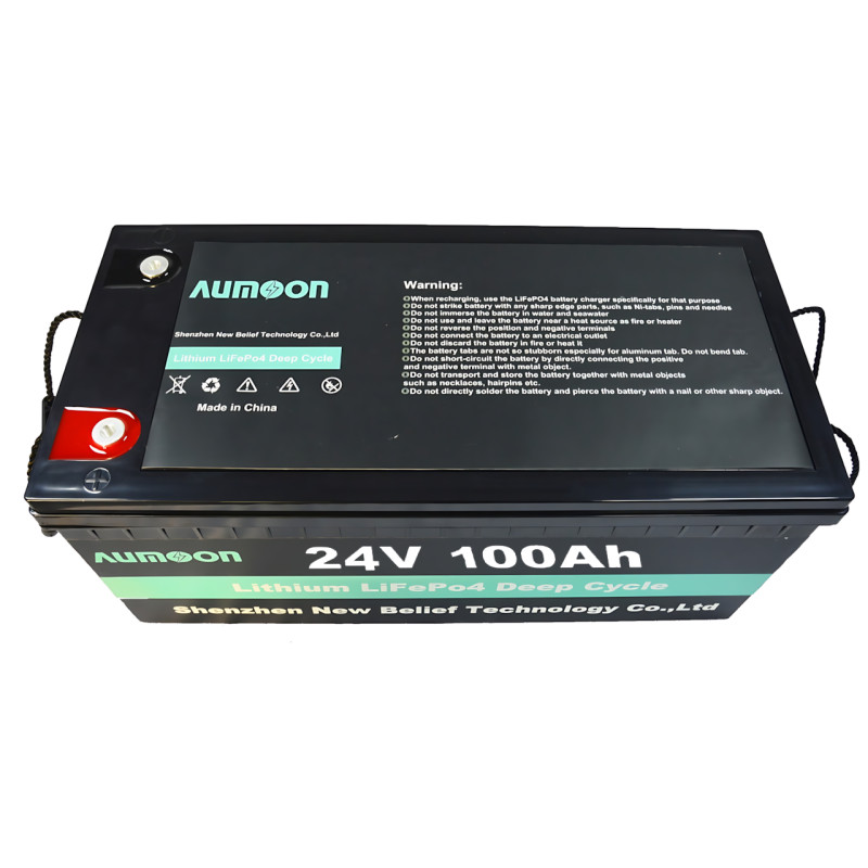 Аккумулятор ENERSUN LiFePO4 25,6В 100Ач 2,56кВт с Bluetooth і BMS для ДБЖ AUMOON фото - 4
