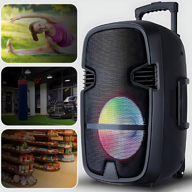 Портативна колонка Tekno altavoces 6.5" з мікрофоном і RGB-світиною, акумуляторний Bluetooth динамік