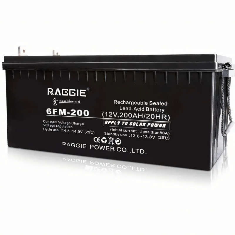 Гелевий акумулятор 12 V 200 Ah, що не обслуговується АКБ RAGGIE AGM для безперебійного живлення фото - 2