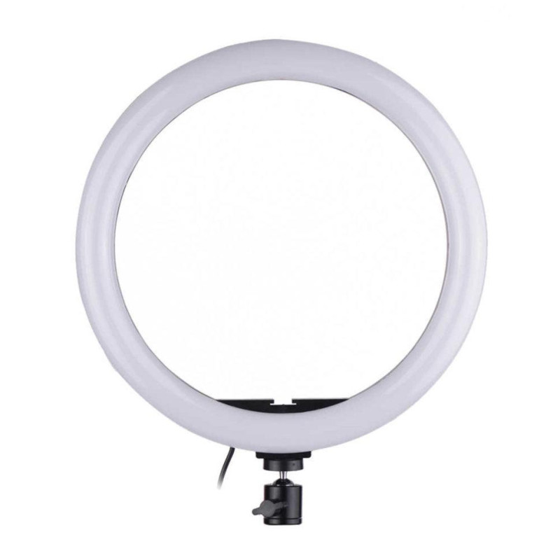 Світлодіодна кільцева лампа 20 см діаметр Pro Ring Fill Light, 3 режими, з пультом, без штатива фото - 3