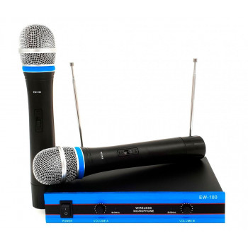 Беспроводной комплект из 2-х микрофонов Wireless DM EW-100 радиосистема