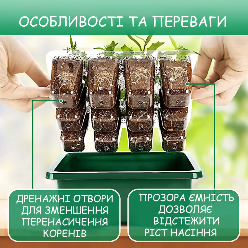 Набір для вирощування розсади MA731, 5 контейнерів із прозорими кришками, LED-підсвітка, вентиляція, мінітеплиця, USB-живлення фото - 5