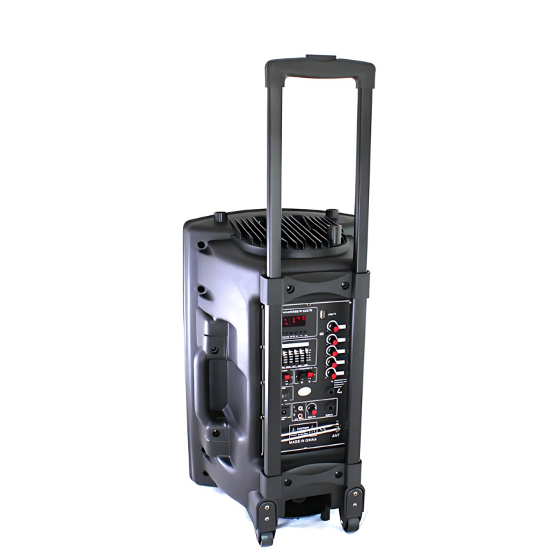 Портативна колонка Su-Kam BT 150D + 2 мікрофони, велика колонка 12v/220v з Bluetooth на акумуляторі фото - 4