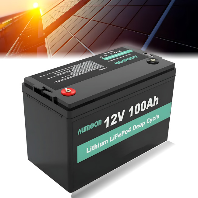 Литий-железо-фосфатный аккумулятор ENERSUN LiFePO4 12.8В 100Ач с BMS, 1.28 кВт, для ИБП AUMOON