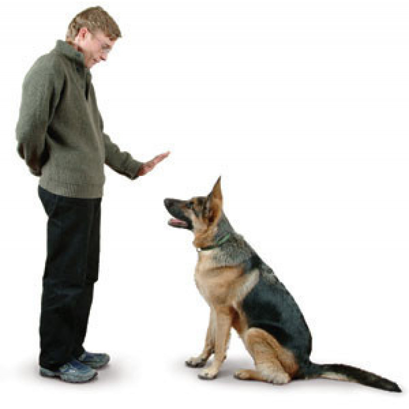 Электронный для дрессировки собак с ЖК-дисплеем, Dog Training, черныйСистема для тренировки обеспечивает профе фото - 3