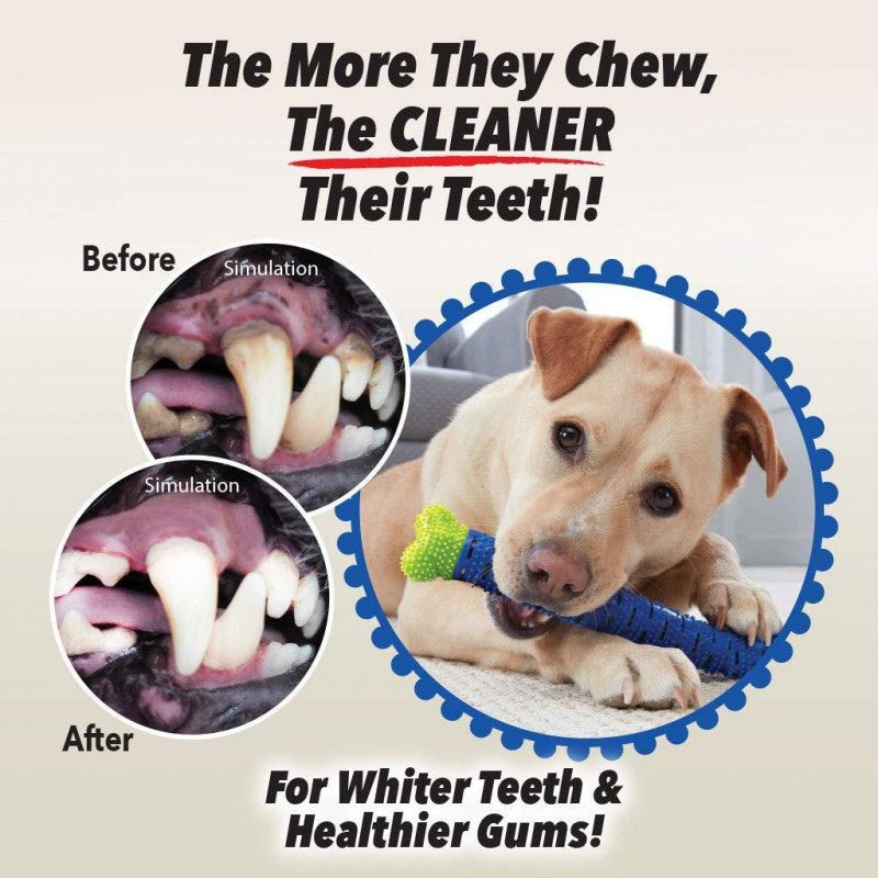 Зубная щетка для собак с секретом CHEWBRUSH, длина 24 см, с массажем десен фото - 1