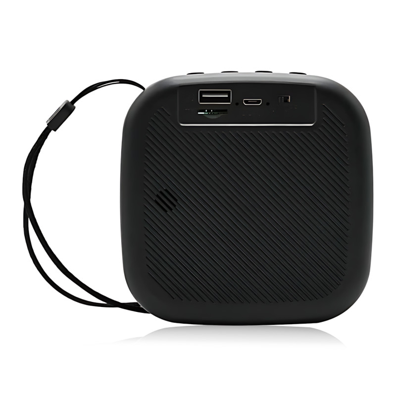 Караоке Bluetooth колонка SPS LX-01, 15 Вт, USB, FM, 1200 мА·год, чорний фото - 8