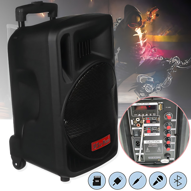 Портативна Bluetooth акустика Su-Kam BT100D акумуляторна 500 Вт із мікрофоном, пультом, 12v/220v