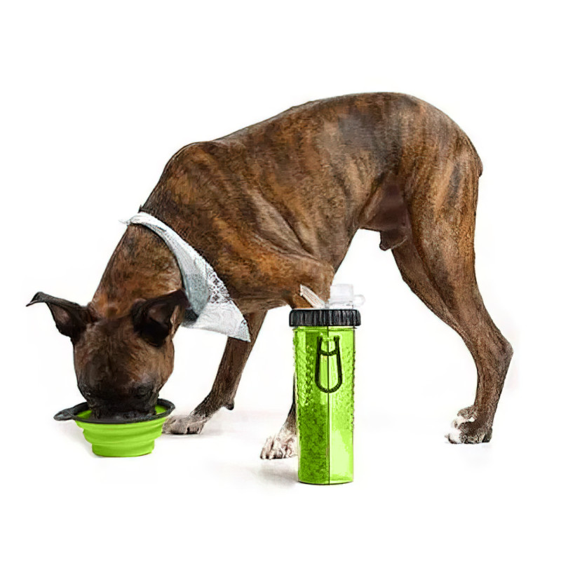 Пляшка подвійна для води та корму Dexas Snack-Duo, 480 мл, зі складаною мискою фото - 6