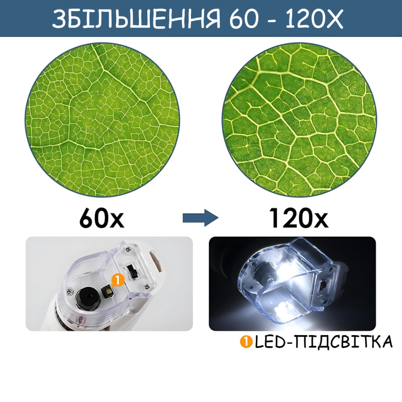 Дитячий портативний мікроскоп Outdoor MA657 — 60-120X, LED-підсвітка, кишеньковий дитячий мікроскоп, білий фото - 27